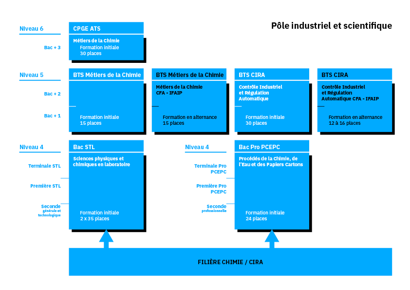 organigramme filiere chimie